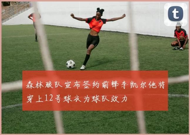 森林狼队宣布签约前锋李凯尔他将穿上12号球衣为球队效力