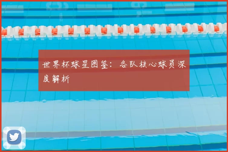 世界杯球星图鉴：各队核心球员深度解析