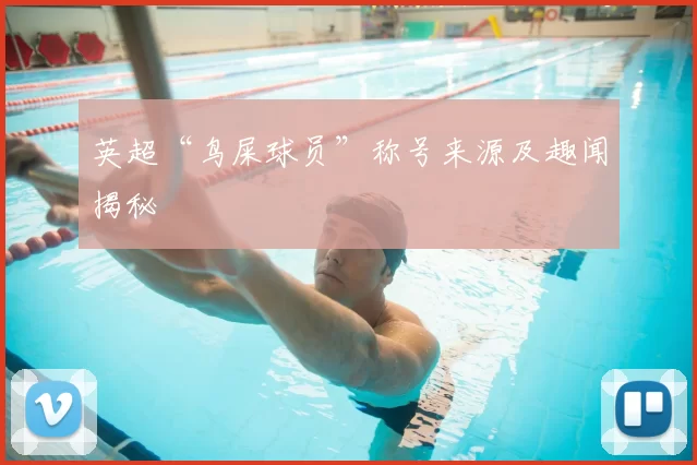 英超“鸟屎球员”称号来源及趣闻揭秘