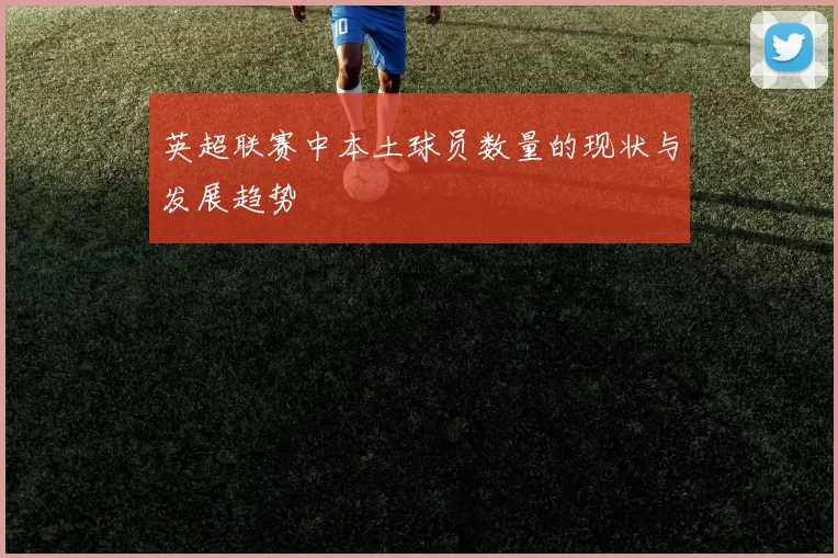 英超联赛中本土球员数量的现状与发展趋势