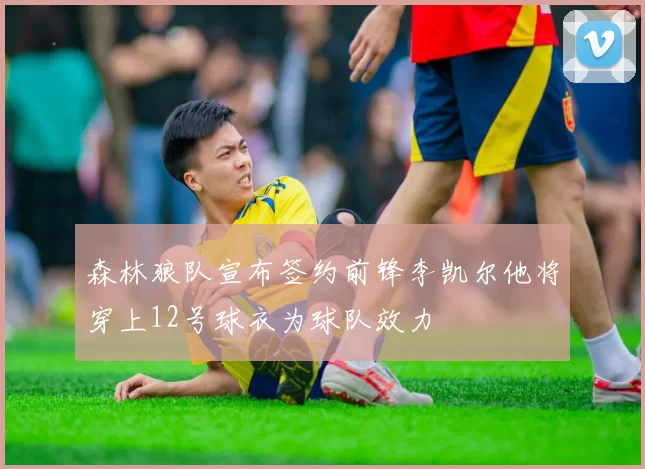 森林狼队宣布签约前锋李凯尔他将穿上12号球衣为球队效力