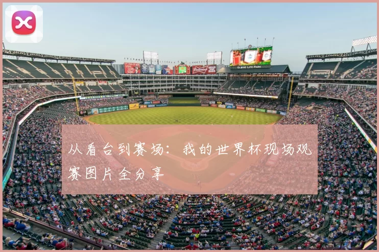 从看台到赛场:我的世界杯现场观赛图片全分享