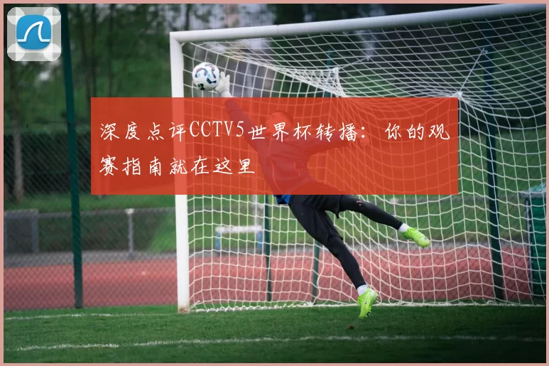 深度点评CCTV5世界杯转播：你的观赛指南就在这里