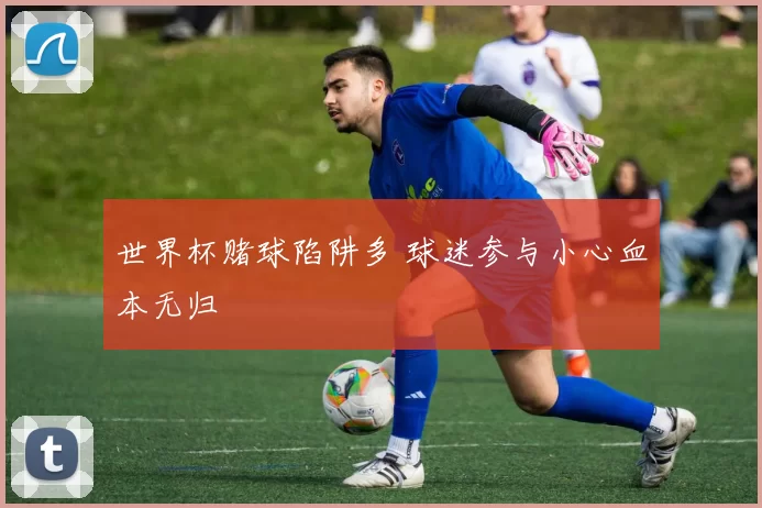 世界杯赌球陷阱多 球迷参与小心血本无归