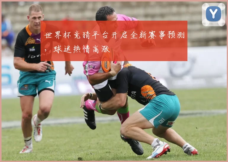 世界杯竞猜平台开启全新赛事预测，球迷热情高涨