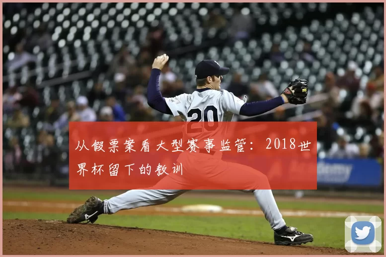 从假票案看大型赛事监管：2018世界杯留下的教训