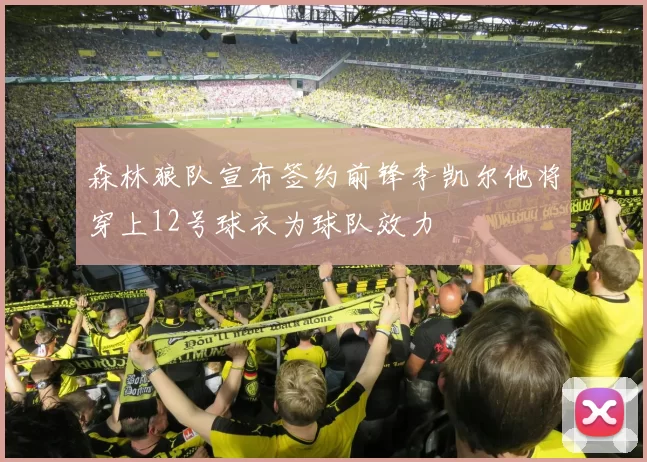 森林狼队宣布签约前锋李凯尔他将穿上12号球衣为球队效力