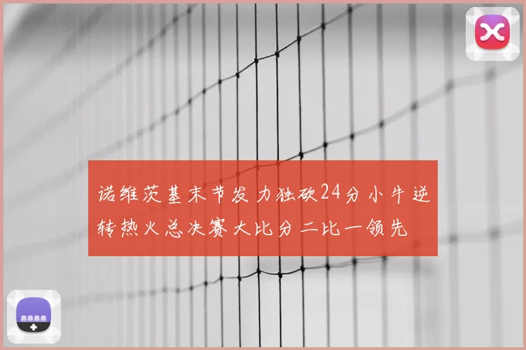 诺维茨基末节发力独砍24分小牛逆转热火总决赛大比分二比一领先