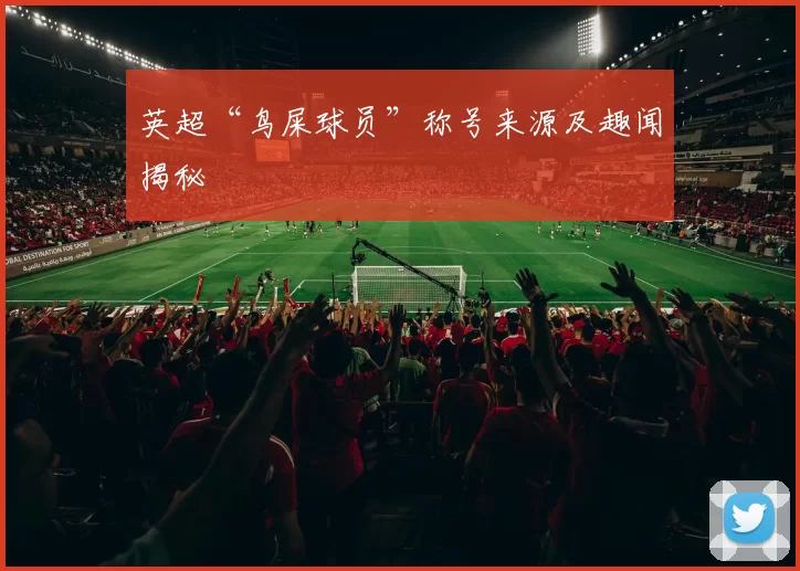 英超“鸟屎球员”称号来源及趣闻揭秘