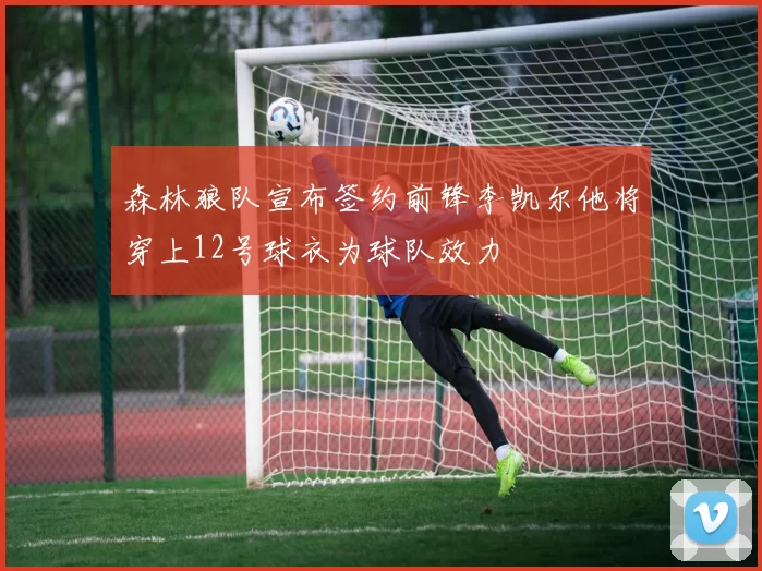 森林狼队宣布签约前锋李凯尔他将穿上12号球衣为球队效力