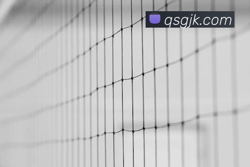 乐鱼体育APP 体育赛事宣传图